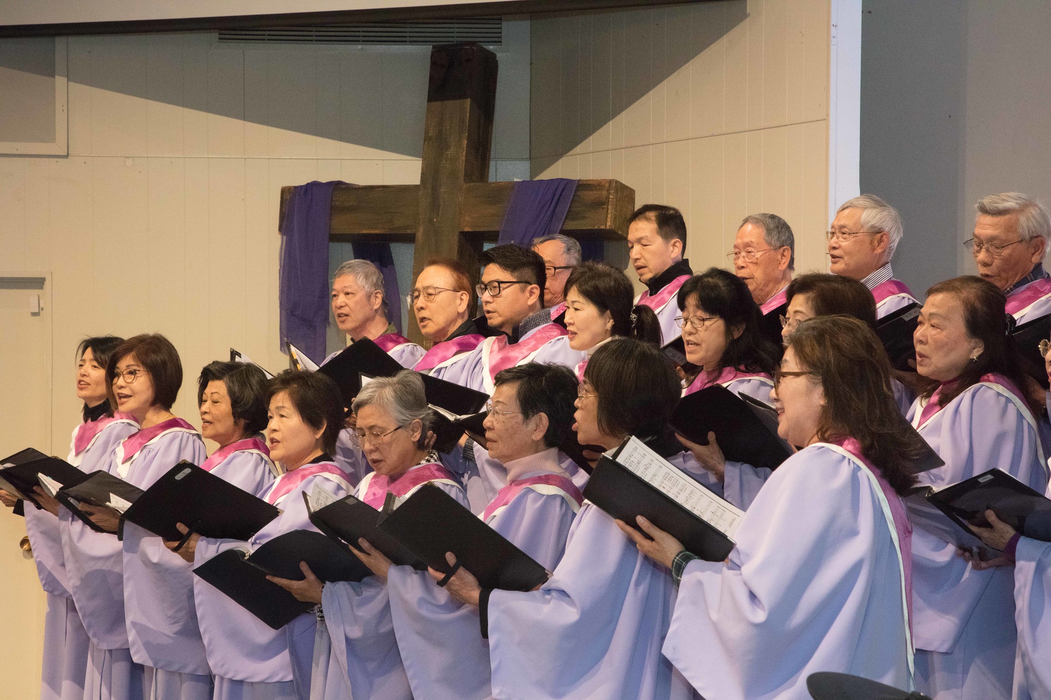 53661928424_7ccbe10c6a_k_lower_res